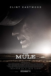 Mule