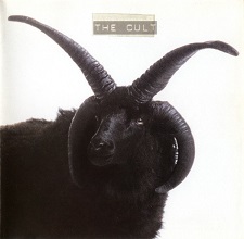 thecultcover