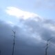 Al Rock le gusta la lluvia