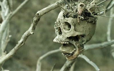 BONE TOMAHAWK (S. Craig Zahler, 2015)
