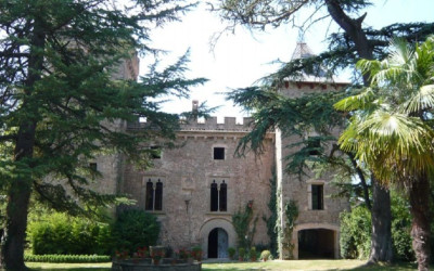 MUCHOS HIJOS, UN MONO Y UN CASTILLO (Gustavo Salmerón, 2017)